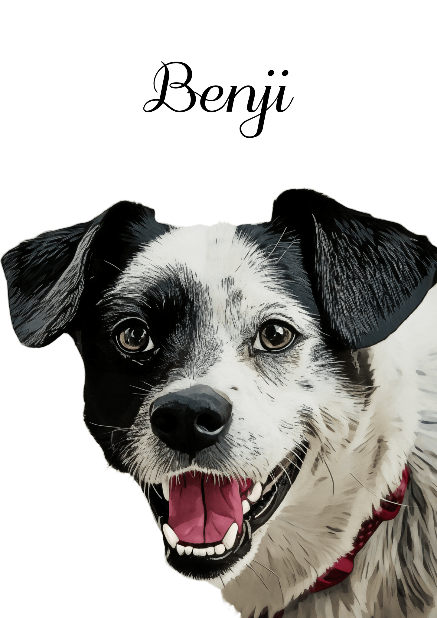 Custom Pet Portraits - My Snap Art