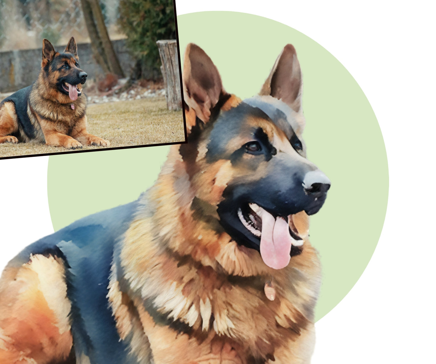 Custom Pet Portraits - My Snap Art
